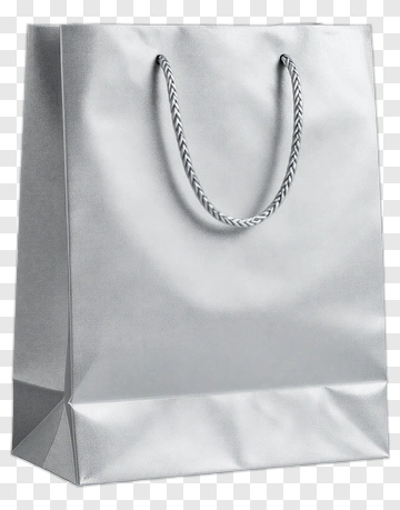 Silver Gift Bag With Braided Handles PNG