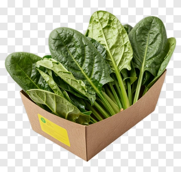 Fresh Spinach In A Box PNG