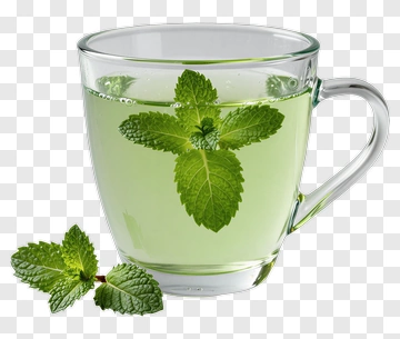 Mint Tea In Glass Cup PNG