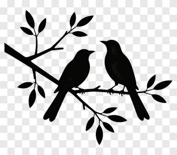 Silhouette Of Two Birds On A Branch PNG
