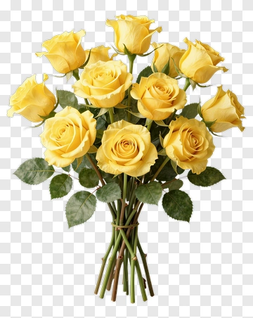 Yellow Rose Bouquet PNG