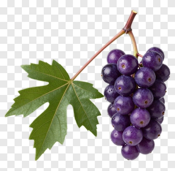 Cluster Of Purple Grapes With Leaf PNG