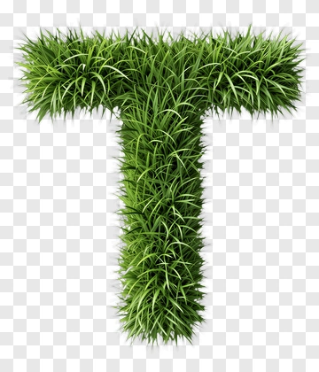 Letter T Made Of Grass PNG
