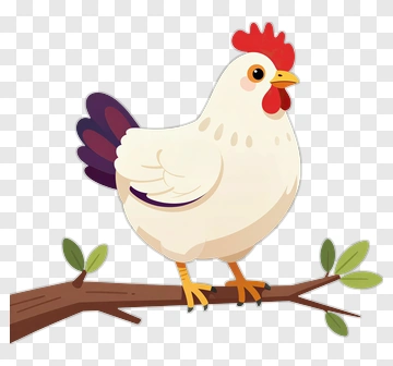 White Rooster On Branch PNG