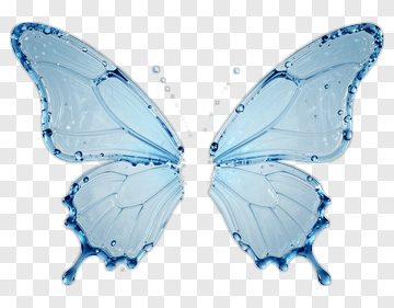 Water Butterfly PNG
