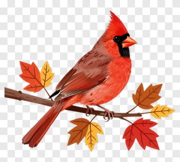 Red Cardinal On Branch With Fall Leaves PNG