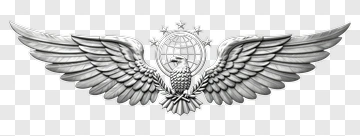 Eagle Wings Aviation Emblem PNG