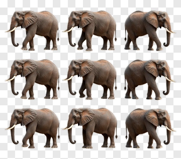 Elephant In Brown Tone PNG