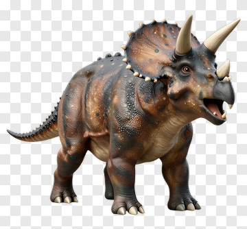 Triceratops PNG