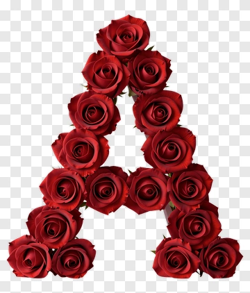 Red Roses Forming Letter A PNG