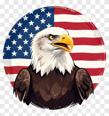 Bald Eagle With American Flag PNG