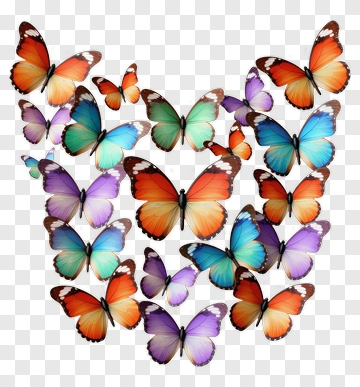 Colorful Butterflies Arranged In Pattern PNG