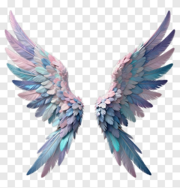 Angel Wings With Pastel Feathers PNG