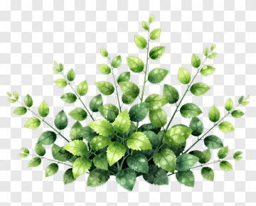 Watercolor Plant PNG