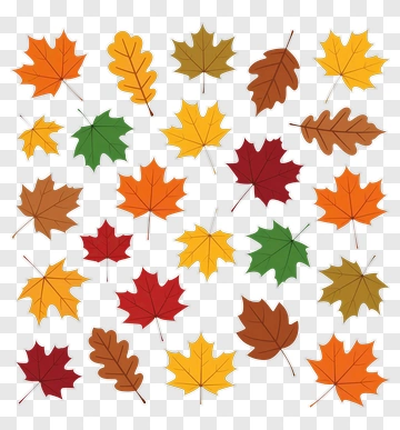 Autumn Leaves Collection PNG