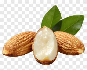 Almond With Leaf PNG