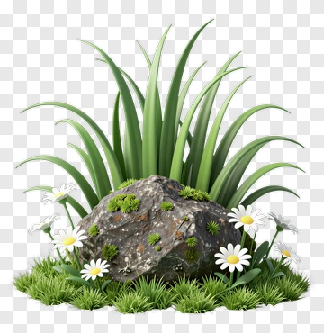 Rock With Grass And Daisy PNG