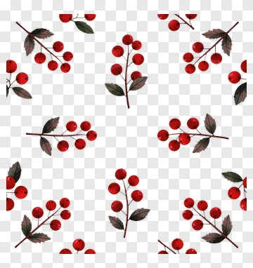 Red Berries On Branches With Leaves PNG