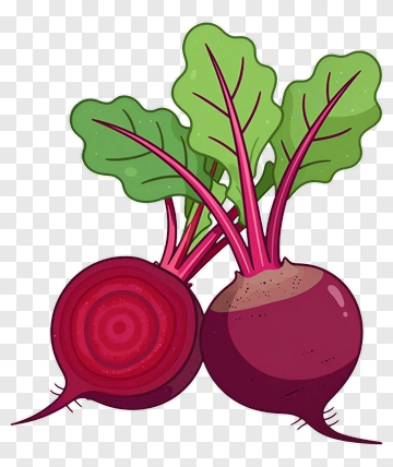 Two Cartoon Beetroot With Green Leaves PNG