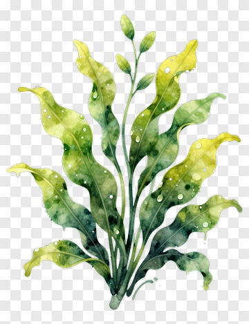 Watercolor Plant With Yellow And Green Leaves PNG