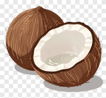 Coconut PNG