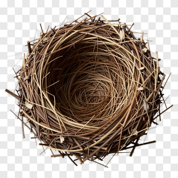 Bird Nest PNG