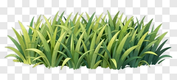 Cartoon Grass PNG