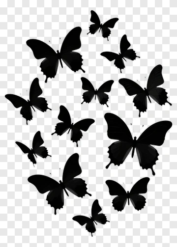 Black Butterflies PNG