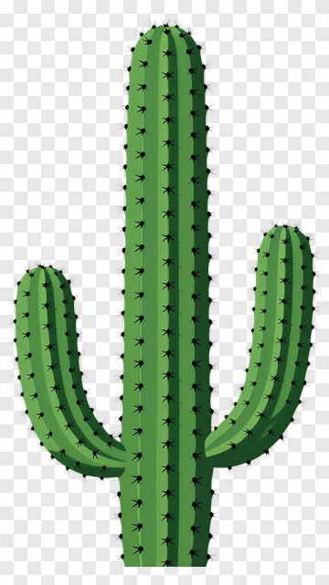 Cactus PNG
