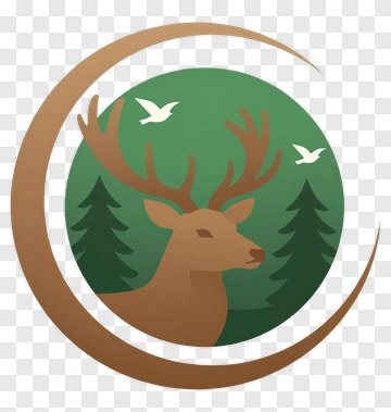 Deer In Forest With Birds PNG