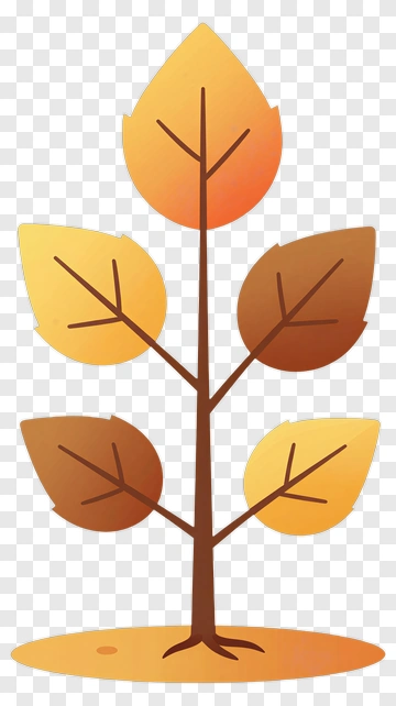 Autumn Tree With Colorful Leaves PNG