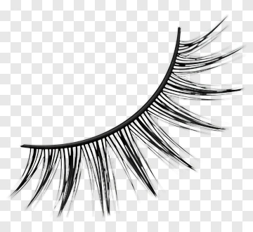 False Eyelashes PNG
