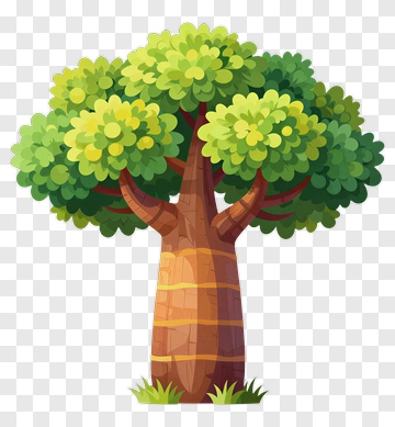 Baobab Tree With Lush Green Canopy PNG