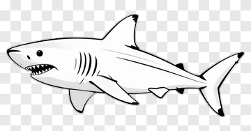 Hand-drawn Shark PNG