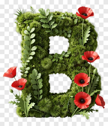 Green Letter B With Red Poppies PNG