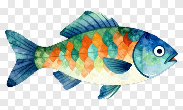 Watercolor Fish With Geometric Patterns PNG