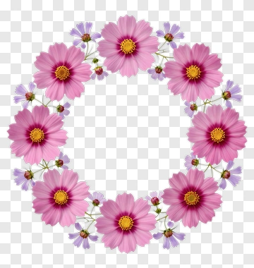 Pink Cosmos Flower Wreath PNG