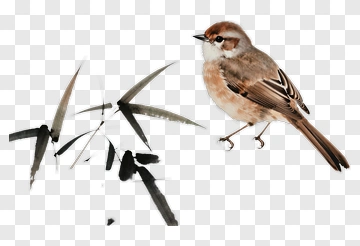 Bird Perched On Bamboo Branch PNG