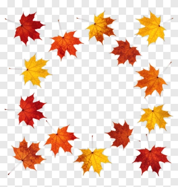 Autumn Maple Leaves Arranged In A Circle PNG