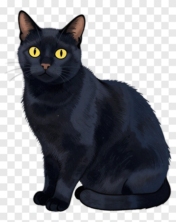 Black Cat With Yellow Eyes PNG