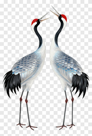 Pair Of Cranes With Red Crowns PNG