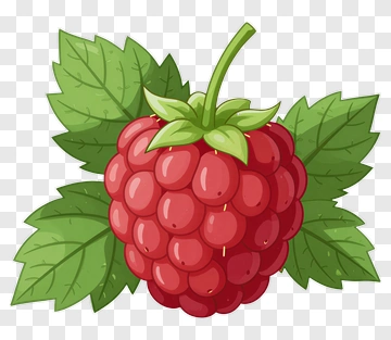 Raspberry With Green Leaves PNG