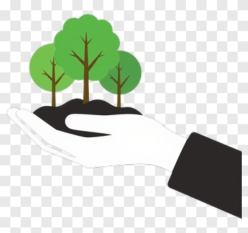 Hand Holding Trees And Soil PNG
