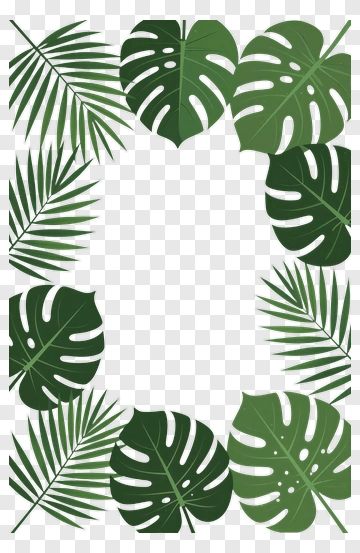 Tropical Leaf Frame Design PNG
