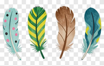 Four Colorful Feathers PNG