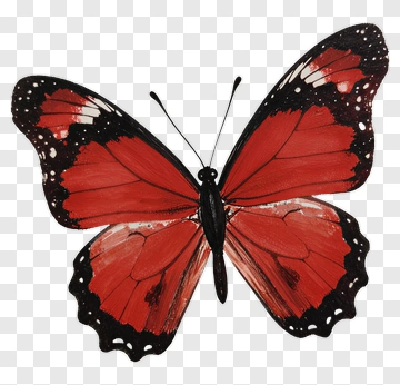 Red And Black Butterfly PNG