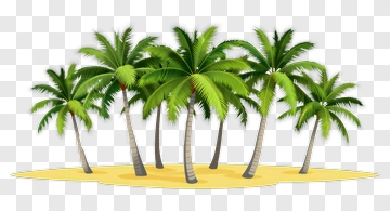 Tropical Beach Palm Trees PNG