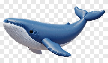 Blue Whale PNG