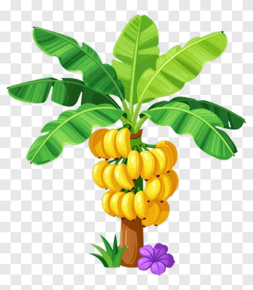 Banana Tree With Bananas And Flower PNG