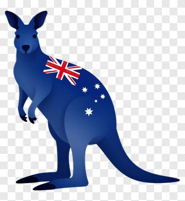 Kangaroo With Australian Flag PNG
